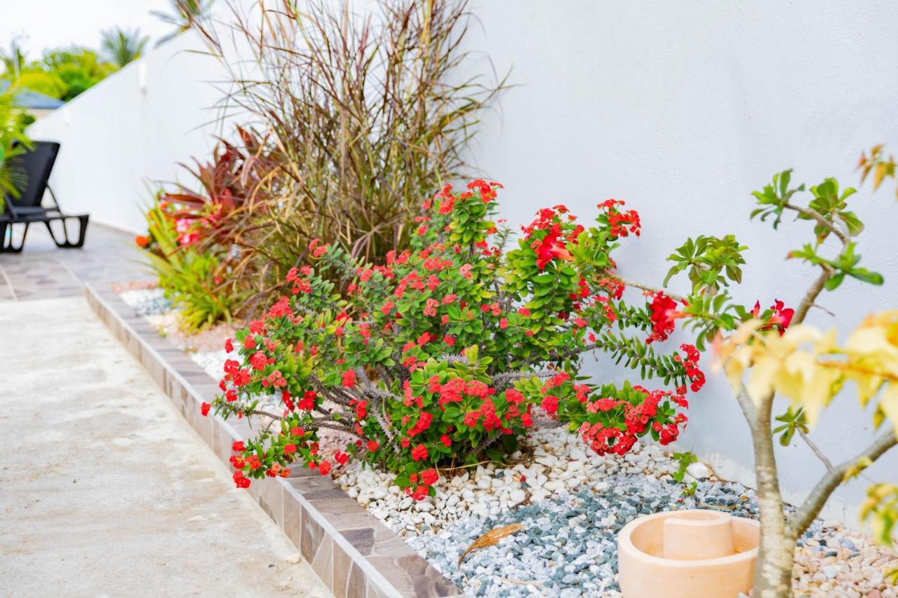 Promo ! Les Paisibles Villas C & G Richeplaine Esterno foto